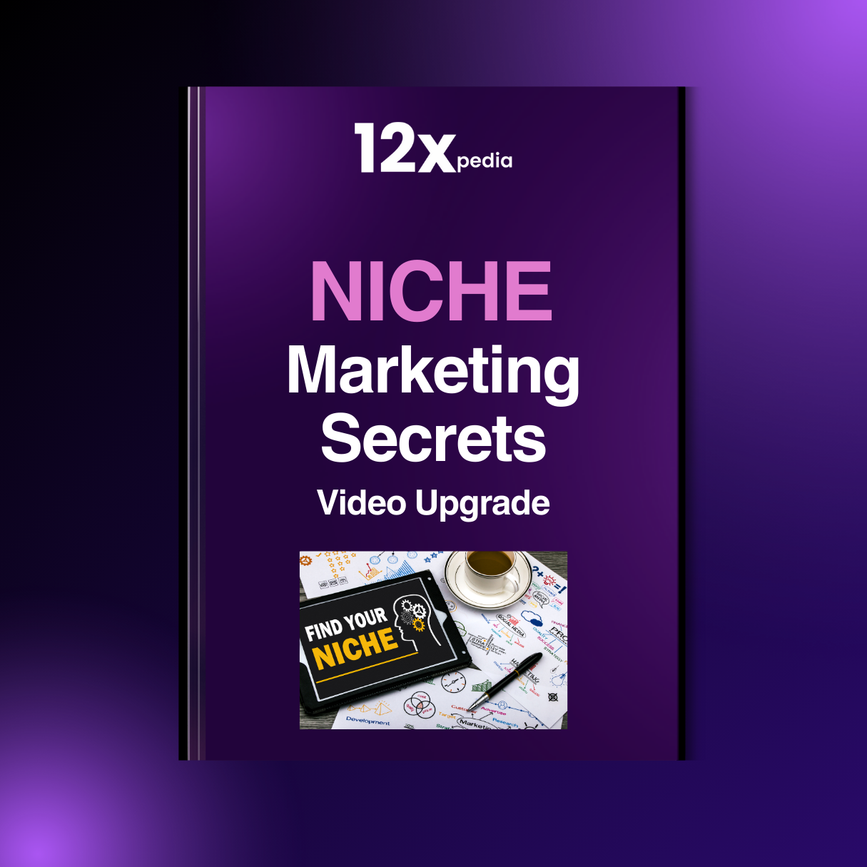 NICHE MARKETING SECRETS - VIDEO UPGRADE