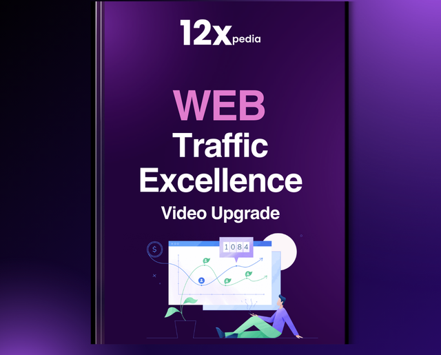 WEB TRAFFIC EXCELLENCE - VIDEO UPGRADE