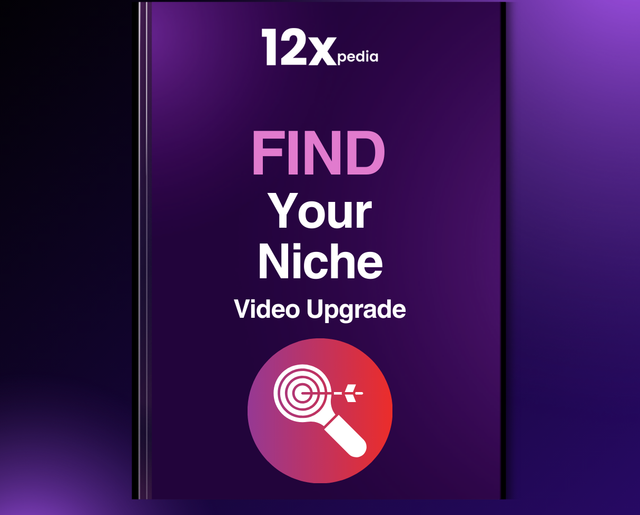 FIND YOUR NICHE - VIDEO UPGRADE